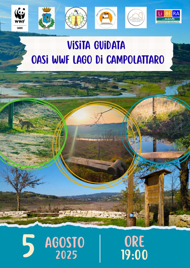 Visita all’Oasi del WWF del Lago di Campolattaro, aspettando il Salvatore